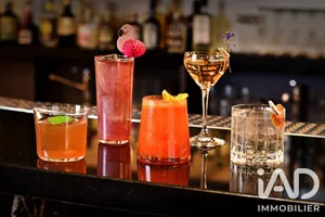 Bar, Brewery, Tobacco shop in Tours (37000)