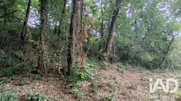 Terrain à Lagor (64150)
