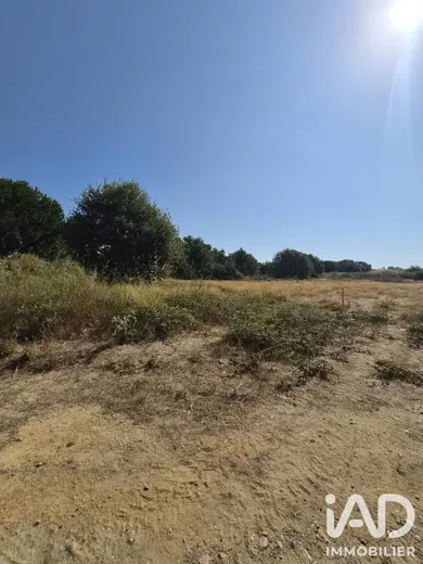 Land in Latour-Bas-Elne (66200)
