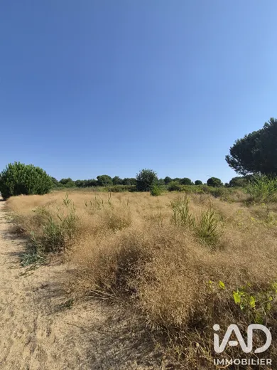 Terrain à Latour-Bas-Elne (66200)
