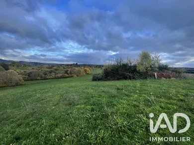 Terrain agricole  à Neuvic-Entier (87130)