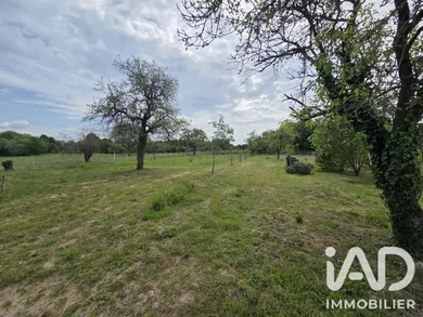 Farm land in Niherne (36250)
