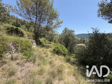 Land in Drap (06340)
