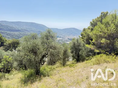 Land in Drap (06340)