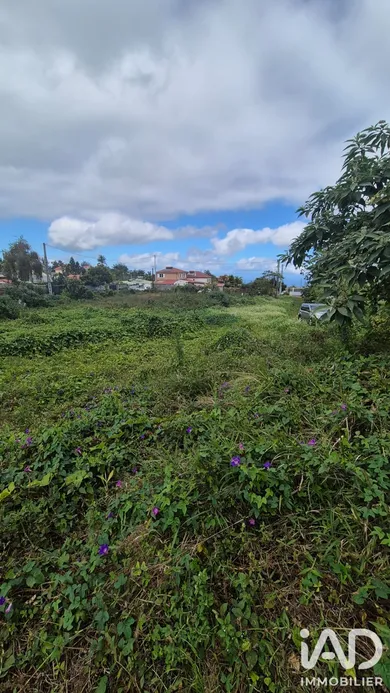 Terrain à bâtir à Le Tampon (97430)