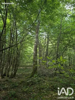 Terrain à Chevenon (58160)