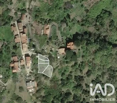 Land in SANTO PIETRO DI TENDA (20246)
