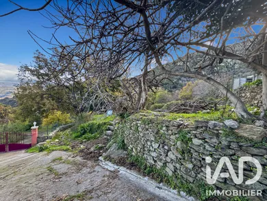 Land in SANTO PIETRO DI TENDA (20246)