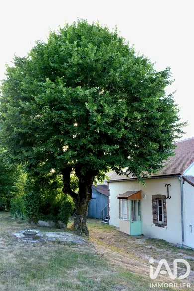 Maison à Saint-Firmin-des-Bois (45220)