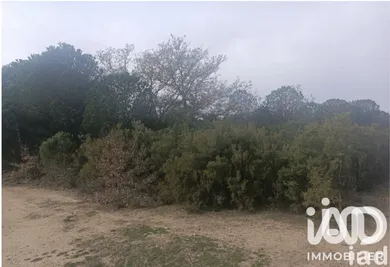 Farm land in Ortaffa (66560)