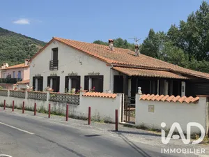 House in Arles-sur-Tech (66150)