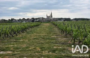 Domain in Le Puy-Notre-Dame (49260)