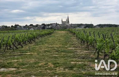 Domaine à Le Puy-Notre-Dame (49260)