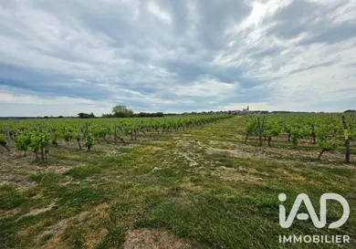 Domaine à Le Puy-Notre-Dame (49260)