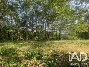 Terrain à bâtir à La Flèche (72200)