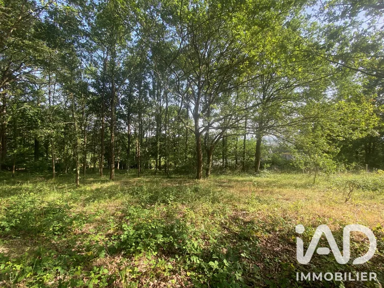 Terrain 1800 m² · à La Flèche · 1 800 m² · 96 000 €