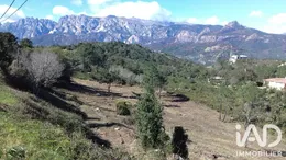 Terrain à bâtir à SARI SOLENZARA (20145)
