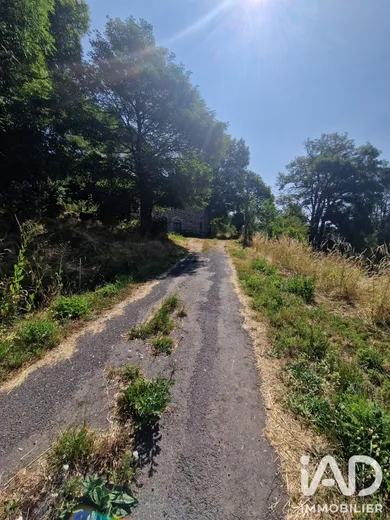 Ferme à Saint-Front (43550)