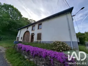 Ferme à La Croix-aux-Mines (88520)