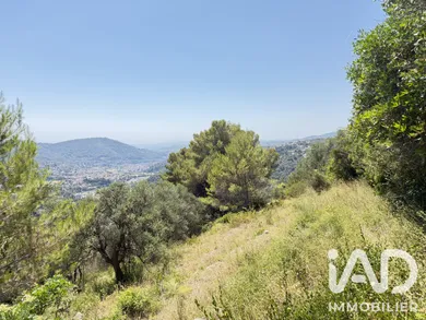 Land in Drap (06340)