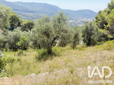 Land in Drap (06340)