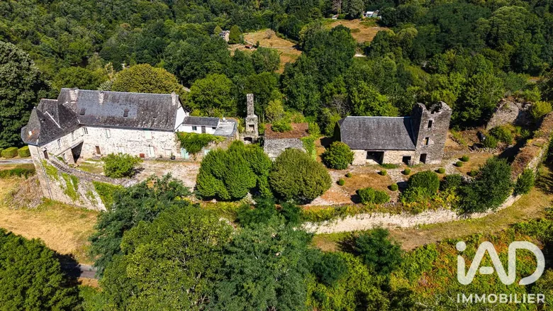 Maison 5 pièces 401 m² · à Orgnac-sur-Vézère · 401 m² · 545 000 €