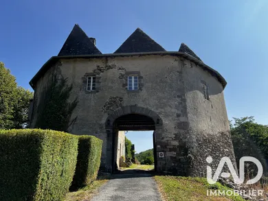 Château à Orgnac-sur-Vézère (19410)