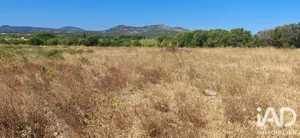Terrain agricole à La Palme (11480)