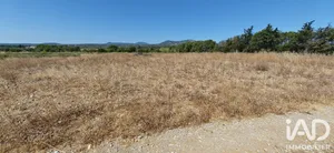 Terrain agricole  à La Palme (11480)