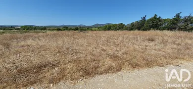 Terrain agricole à La Palme (11480)
