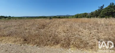 Terrain agricole à La Palme (11480)