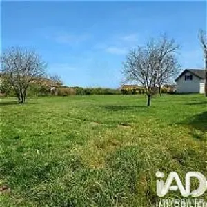 Terrain à bâtir à La Forêt-le-Roi (91410)
