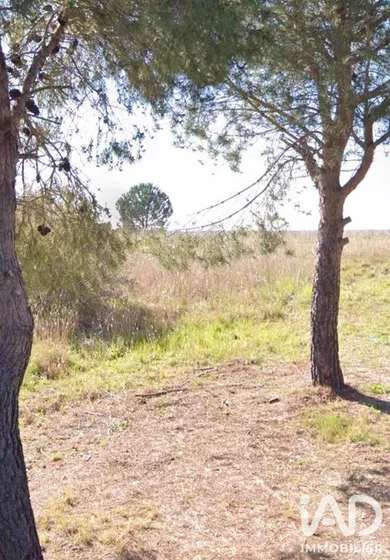 Terrain à bâtir à Adissan (34230)