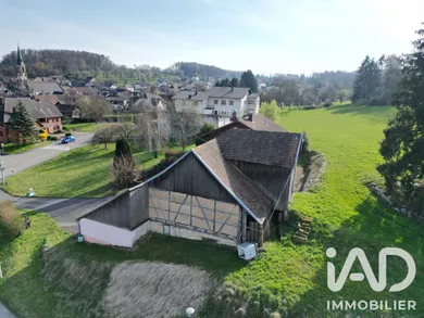 Traditional house in Pfetterhouse (68480)