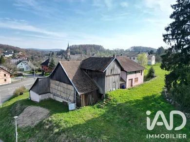 Traditional house in Pfetterhouse (68480)