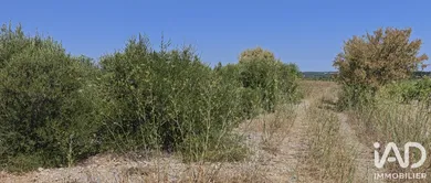 Terrain agricole à LA PALME (11480)