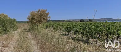 Terrain agricole à LA PALME (11480)