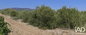Terrain agricole à LA PALME (11480)