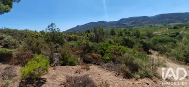 Terrain agricole  à embres et castelmaure (11360)