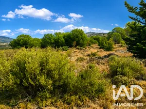 Terrain à Opoul-Périllos (66600)