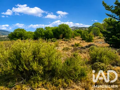 Terrain à Opoul-Périllos (66600)