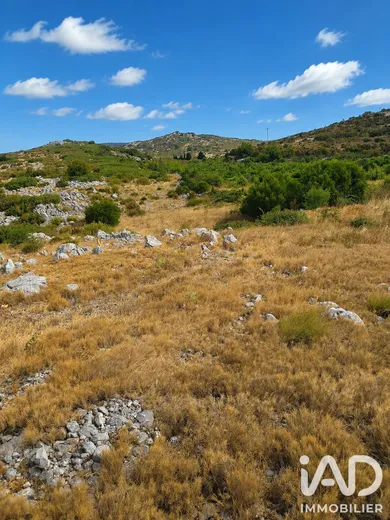 Terrain à Opoul-Périllos (66600)