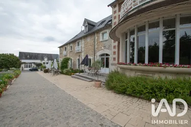 Domain in Châtillon-sur-Indre (36700)