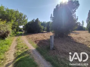 Terrain loisirs à Salses-le-Château (66600)