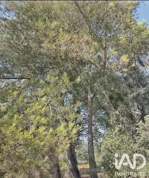 Terrain à bâtir à Comps (30300)