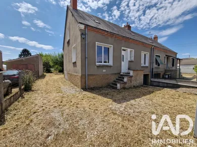 House in Saint-Père-sur-Loire (45600)