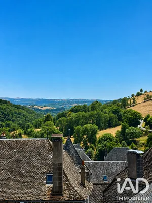 Maison de village à Pierrefort (15230)