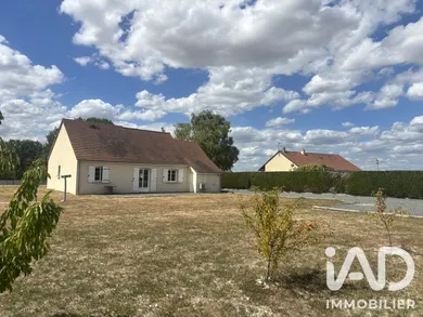 House in Brizay (37220)