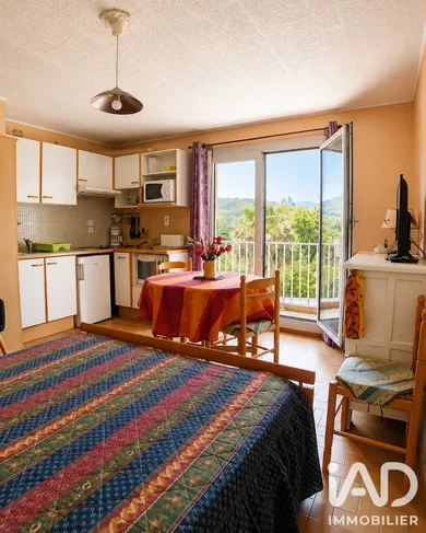 Appartement à Amélie-les-Bains-Palalda (66110)