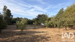 Terrain à Oye-Plage (62215)